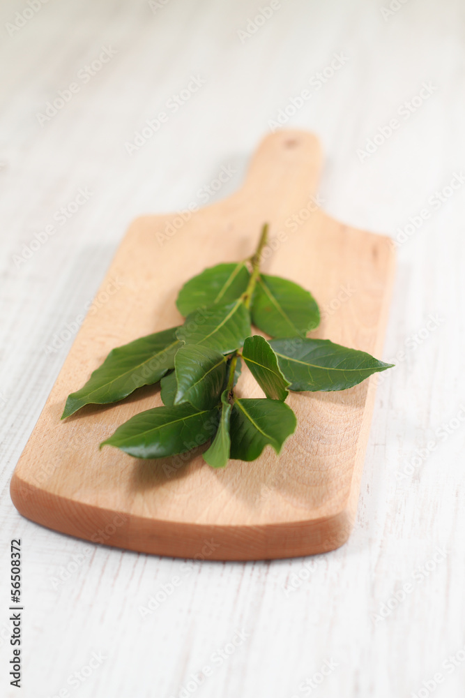 Branch of laurel bay leaves on a wooden board Branch of laurel bay leaves on a wooden board