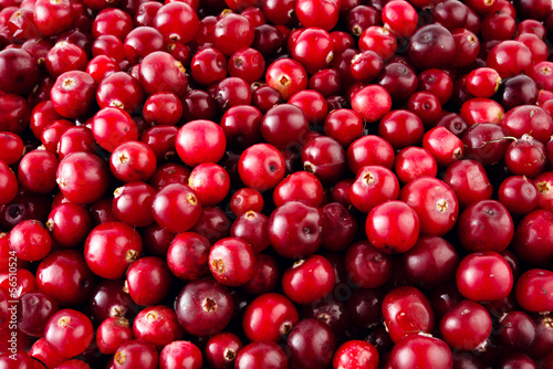 Red ripe cranberries background