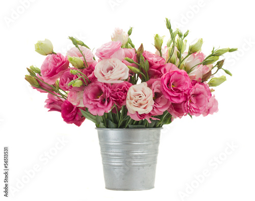 Pink eustoma flowers in metal pot
