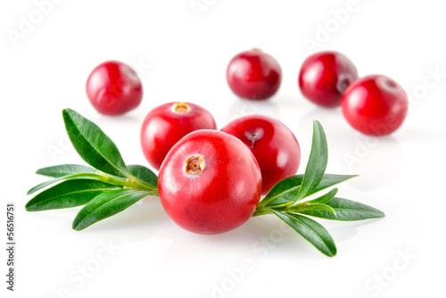 Cranberry with leaves in closeup