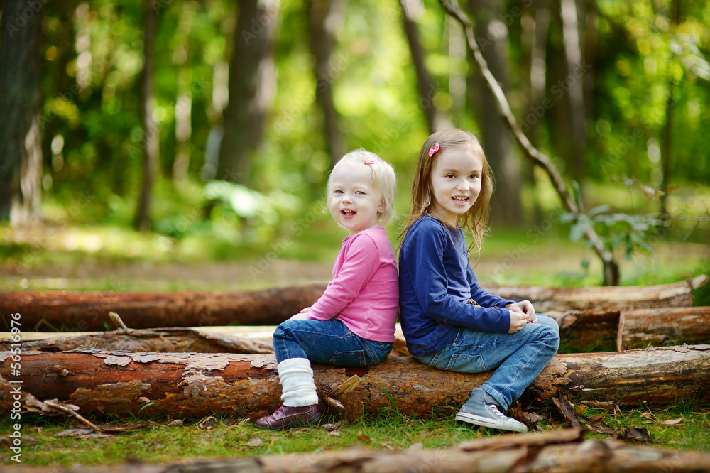 Fototapeta premium Two little sisters sitting on a big log