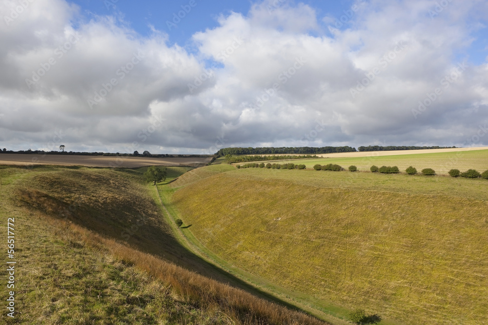 Fototapeta premium grassy valley