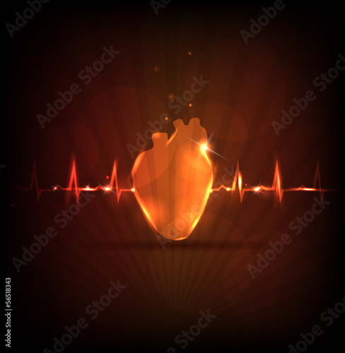 Human anatomy of Heart and cardiogram