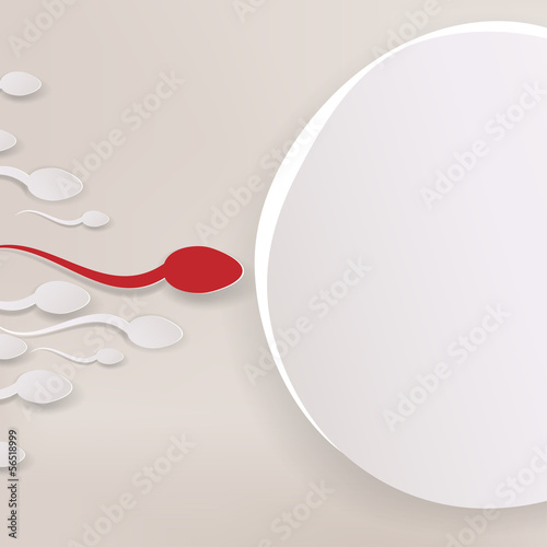 Slika na platnu Vector spermatozoons, floating to ovule