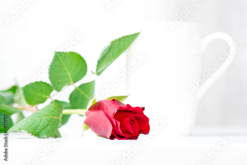 Red rose and cup on table