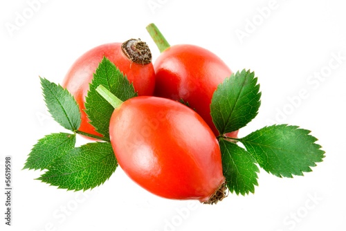 Rose hip isolated on a white background.