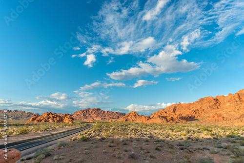 Obraz na płótnie Freedom - Valley of Fire w salonie