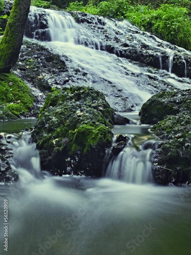 Cascade on small mountain stream