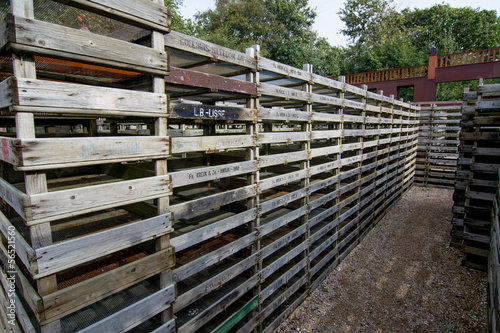 stack of crates used for flower bulbs