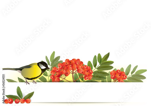 Valokuva Banner with tomtit and rowan