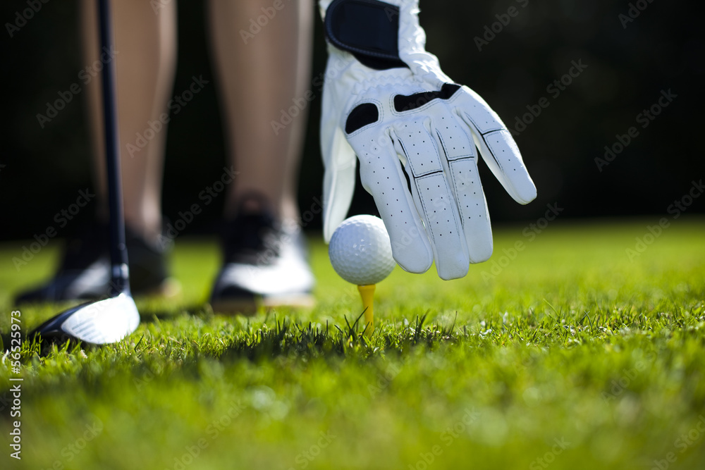 Obraz premium Hand and golf ball