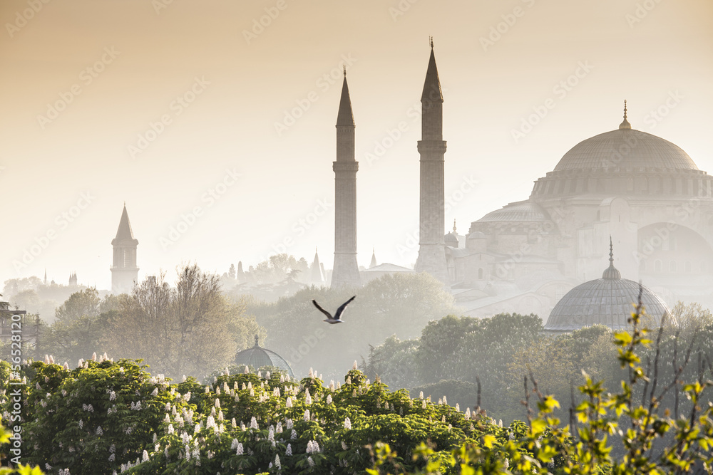 Obraz premium Meczet Sultanahmet / Błękitny Meczet, Stambuł, Turcja