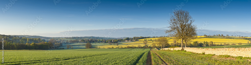 Fototapeta premium Idyllic rural landscape, Cotswolds UK