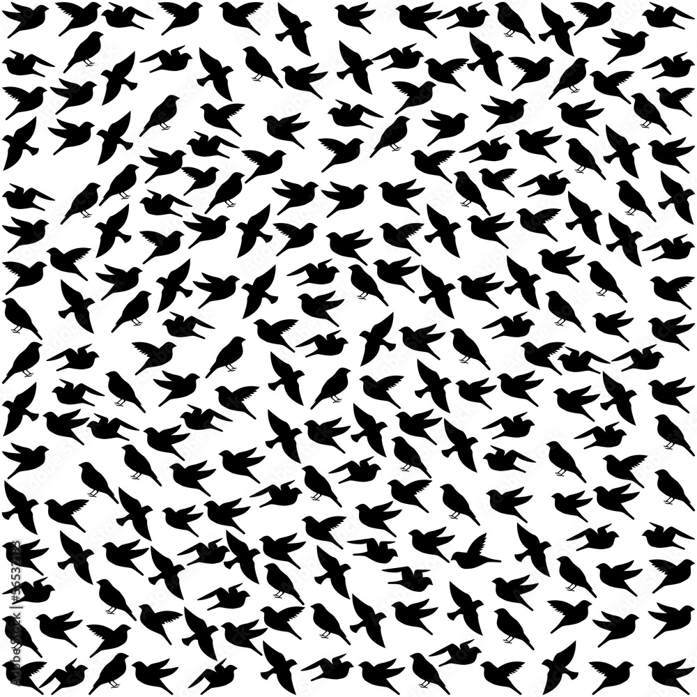 birds pattern birds pattern