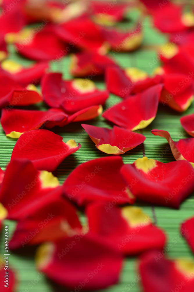 Set of pile of rose petals on green mat Set of pile of rose petals on green mat