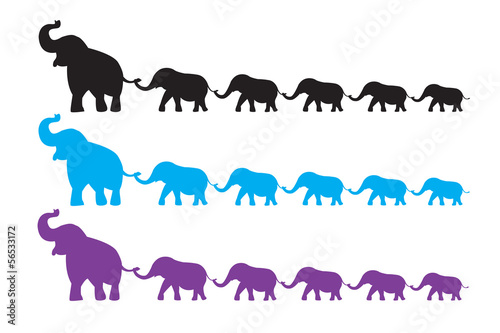 Elephant family walk