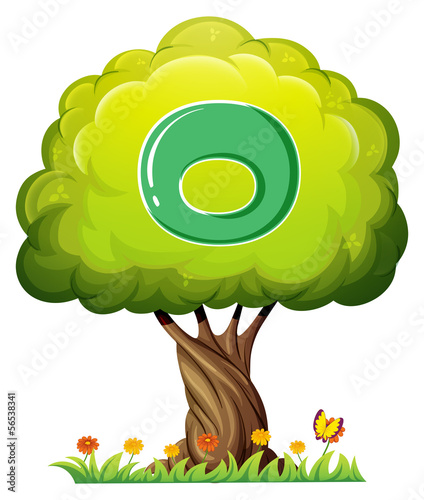 A tree with a letter O
