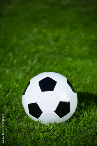 soccer ball on the grass © nikkytok