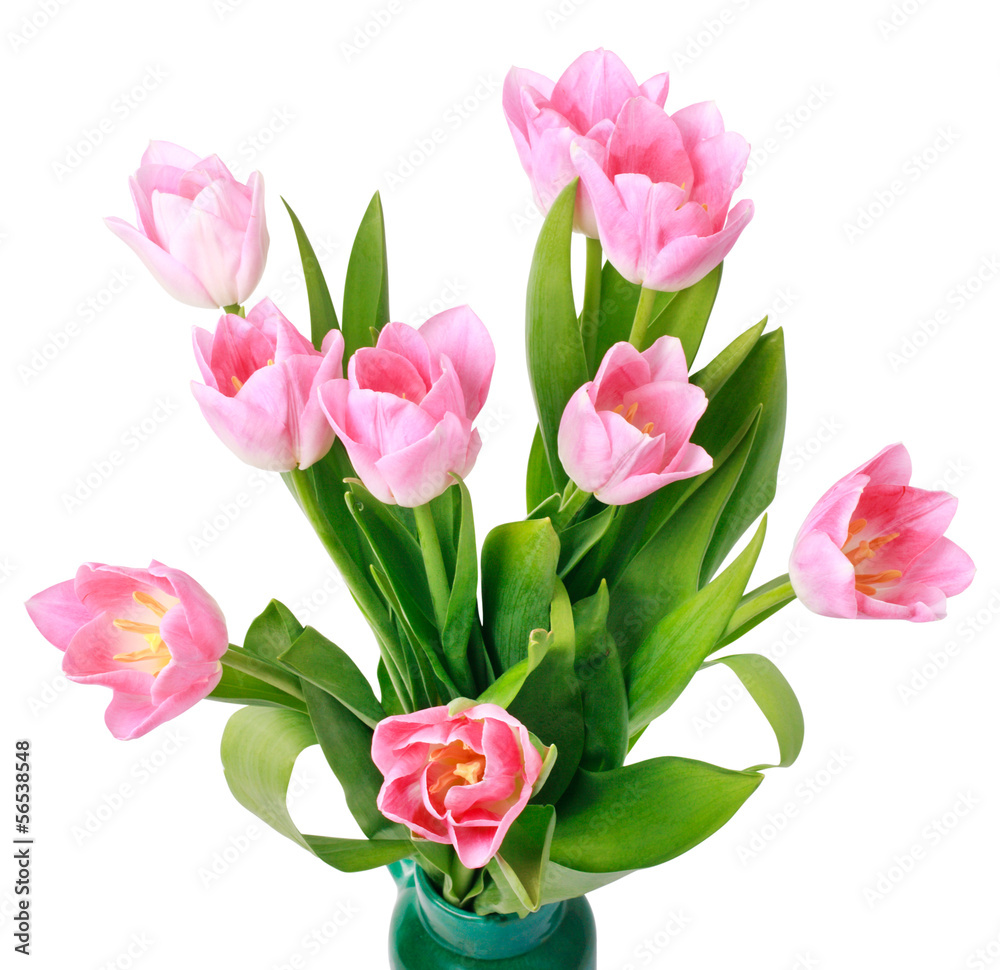 Obraz premium Bouquet of tulips isolated on white