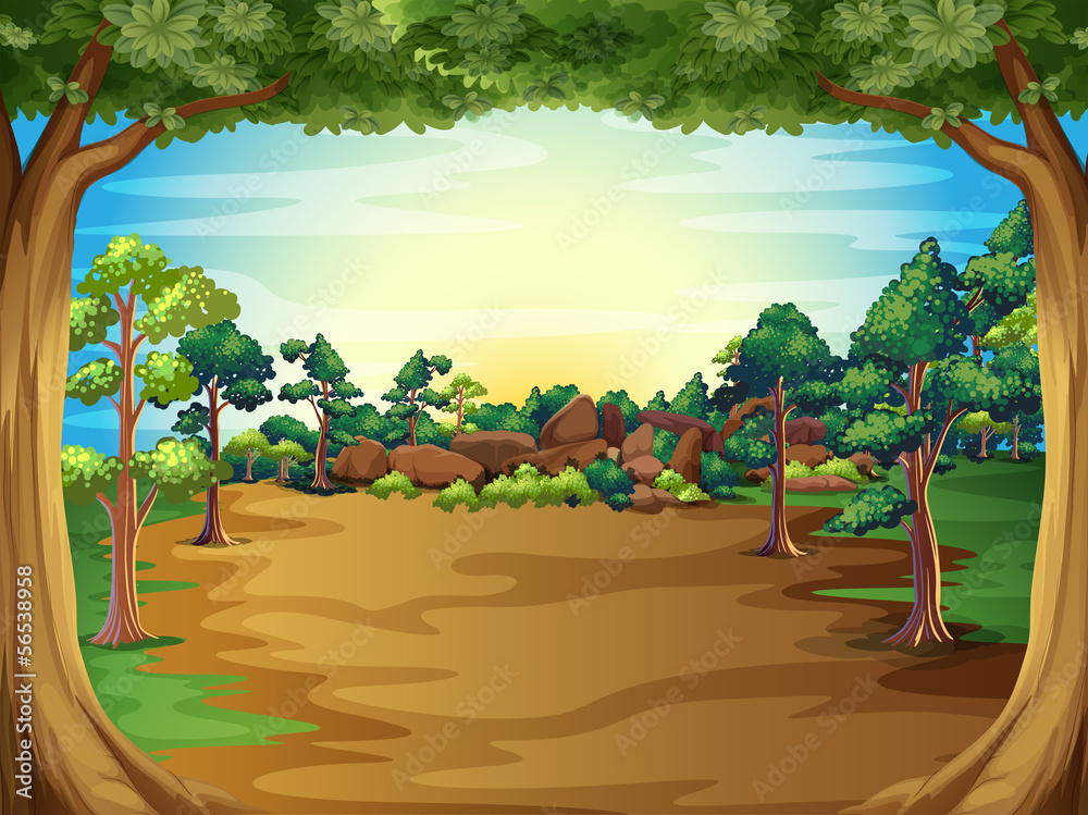 Naklejka premium A sunrise at the forest with trees