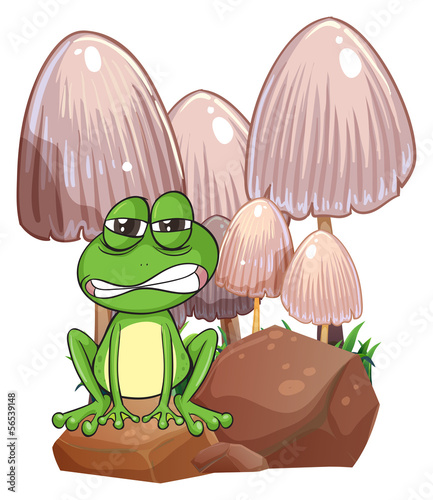 A sad frog near the mushrooms