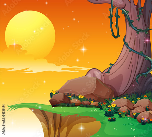 A big tree near the cliff
