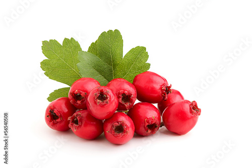 Red hawthorn berries with leaves. photo