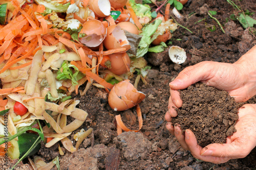 Kompostierte Erde, Komposthaufen, compost photo