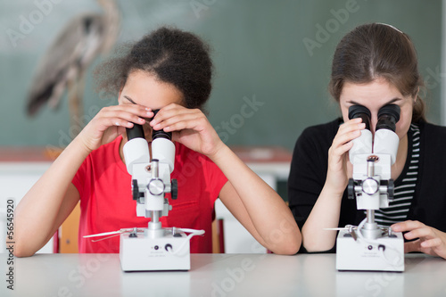Mikroskopieren im Bio-Unterricht photo