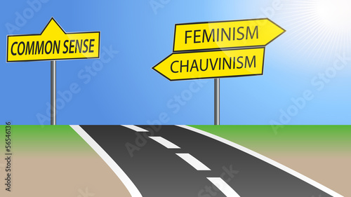 Feminism and chauvinism direction photo