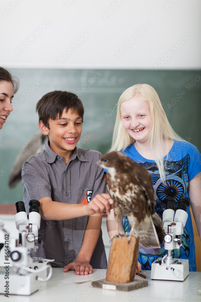 Schüler untersuchen Präparat Schüler untersuchen Präparat