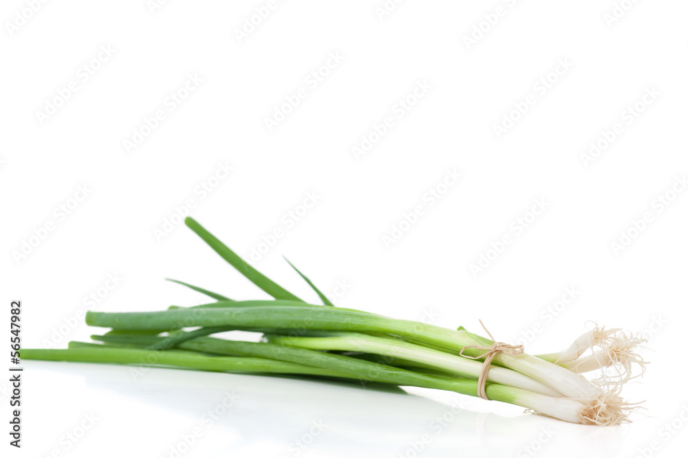 Fototapeta premium Lauchzwiebel