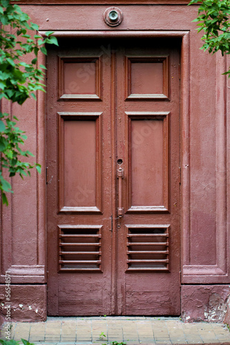 Brown old door