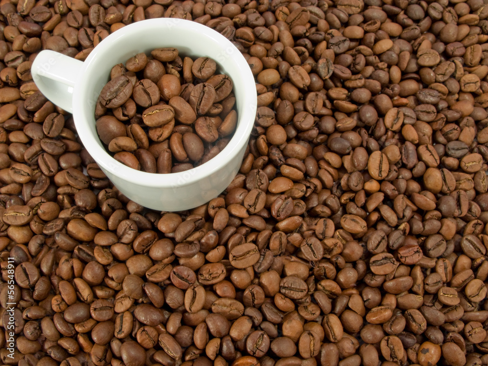 coffee beans and a white espresso cup coffee beans and a white espresso cup