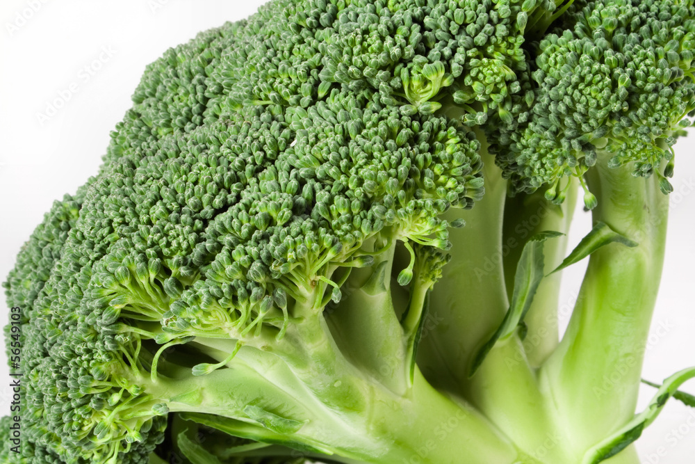 Nutritious broccoli sheaf isolated on white background Nutritious broccoli sheaf isolated on white background