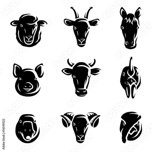Farm animals set. Vector