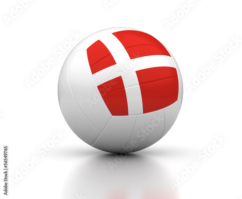 Danish Volleyball Team