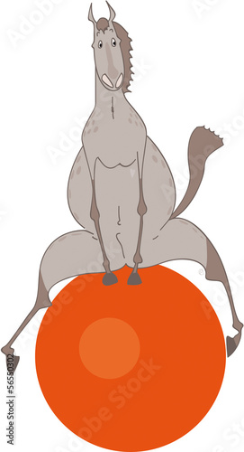 cheval gris joue et ballon orange