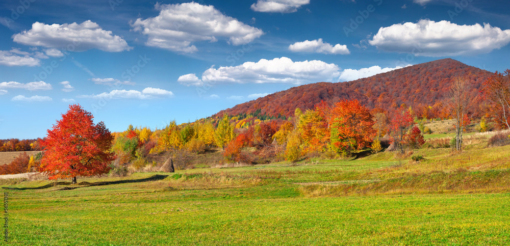 Colorful autumn landscape in the mountains Colorful autumn landscape in the mountains