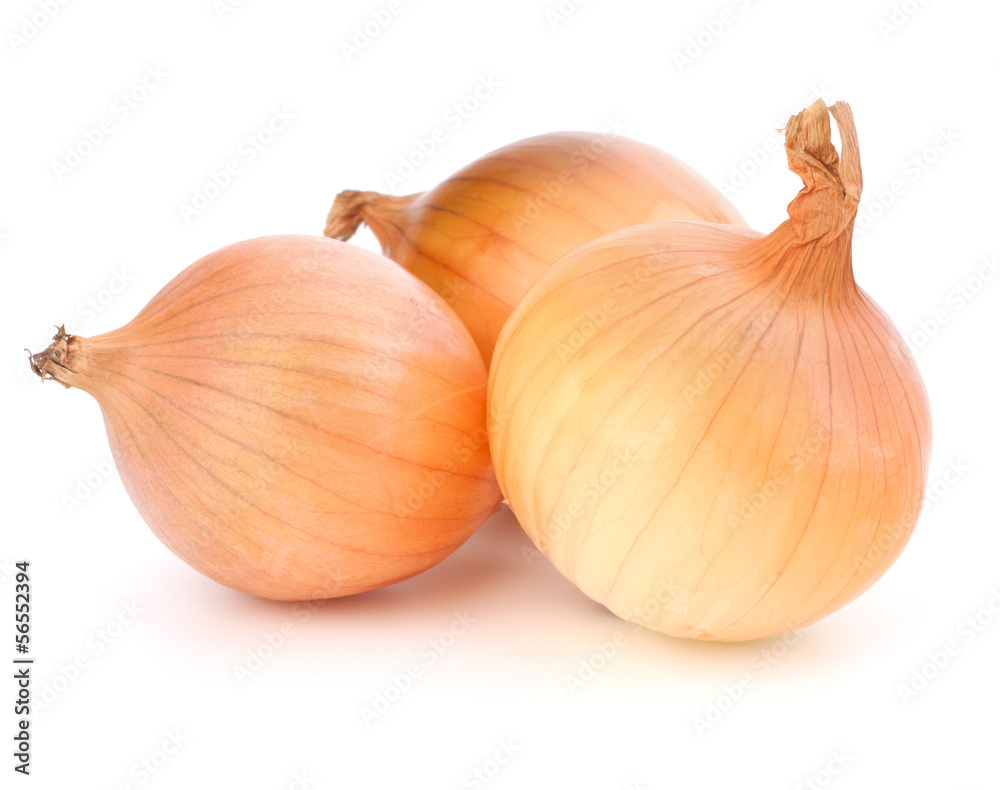 Fototapeta premium Onion