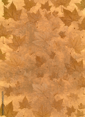 Fototapeta Naklejka Na Ścianę i Meble -  Autumn illustration