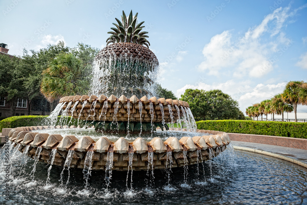 Fototapeta premium Pineapple Fountain w Charleston w Południowej Karolinie