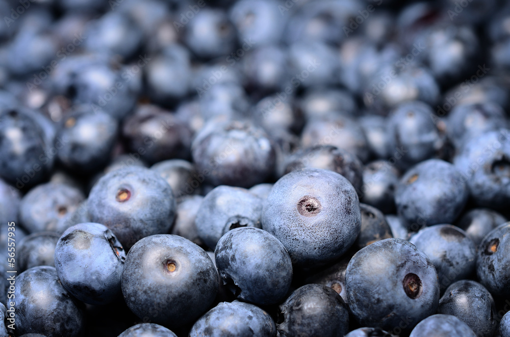 Ripe blueberries in the market Ripe blueberries in the market