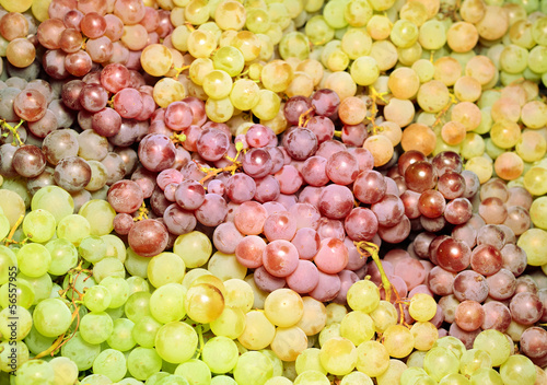 Wine grapes in market after harvest