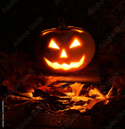 Halloween pumpkin in dark garden