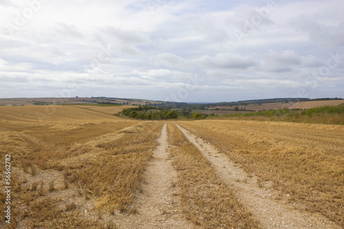 harvested fields