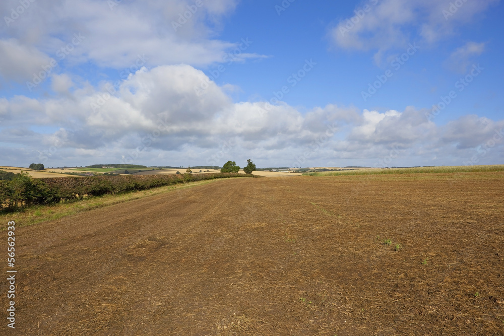 Naklejka premium farming in the yorkshire wolds