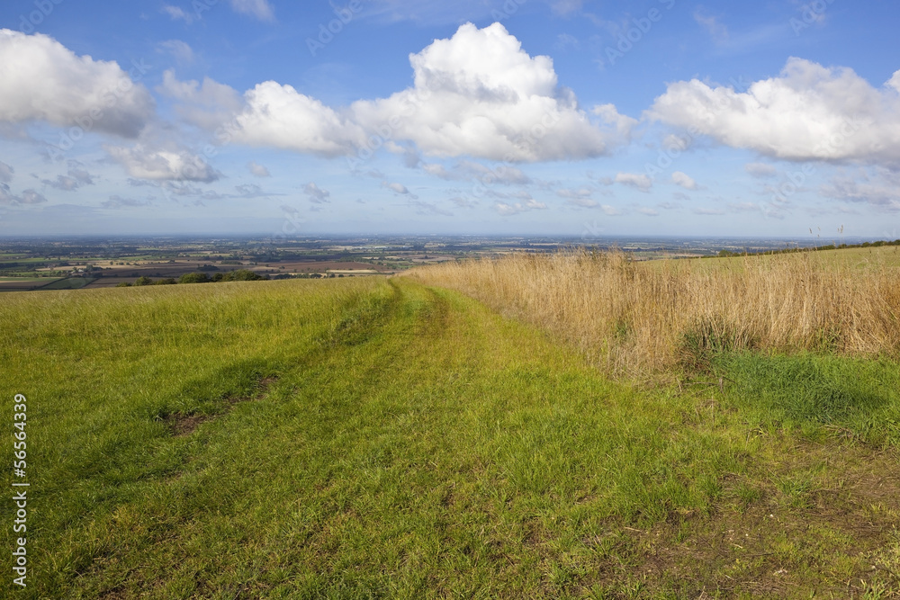 Fototapeta premium hillside pasture
