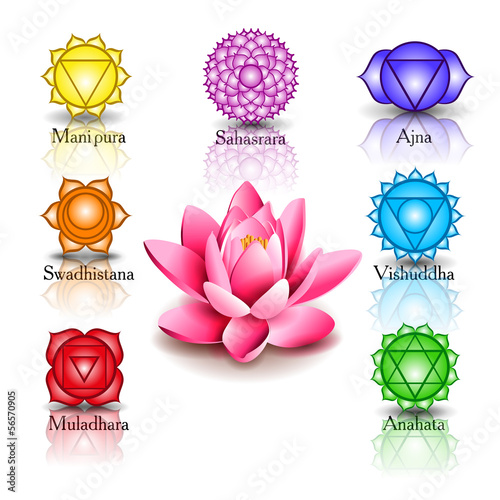 lotus and seven chakras #56570905