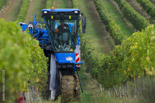 Fotografía Vendanges mécanique du raisin dans le vignoble